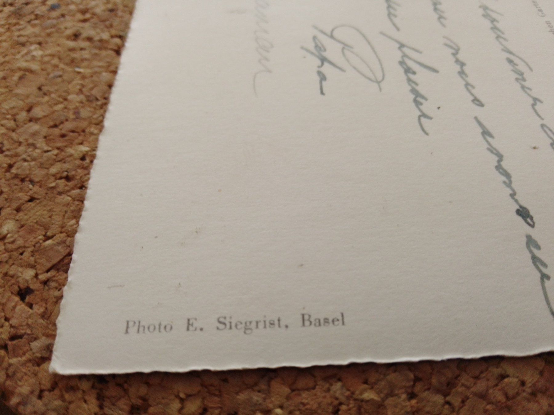 Cartes postales: Basel Zoo Ernst Lang – D'occasion à Adligenswil par madhater 3