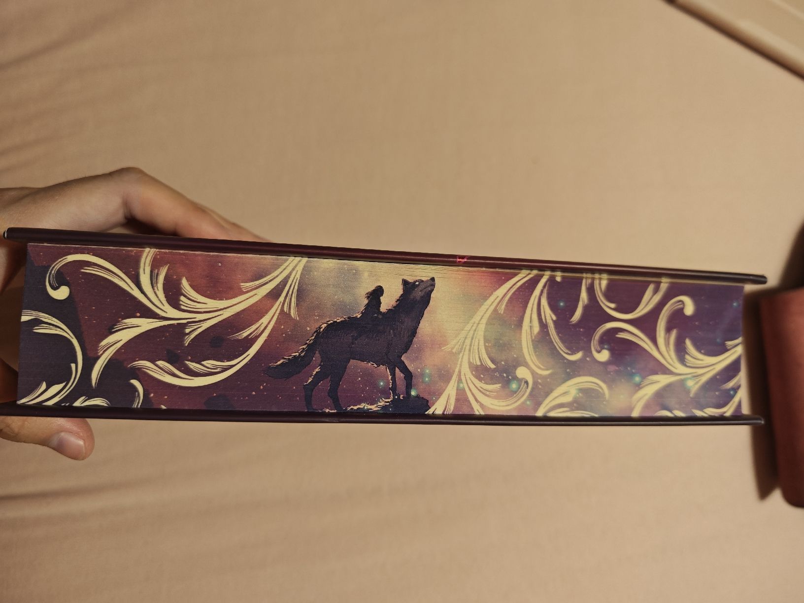 Bücher: Direbound International Special Edition – Neu (gemäss Beschreibung) aus Grandvaux von Freezemoon 3