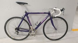 Neuaufbau Rennvelo Concorde 54 cm
