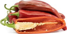 Anaheim Chili - Capsicum annuum - 40 Samen