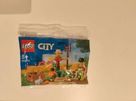 Lego City: Bauernhofgarten mit Vogelscheuche (30590)