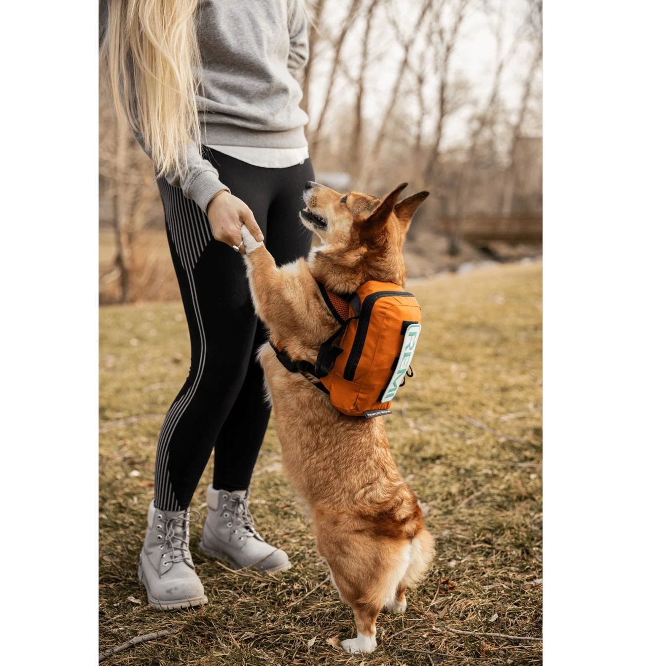 Rucksäcke: K9 Sport Sack Walk-On 3in1, S – Neu und originalverpackt aus Deitingen von cor_7h7k 7