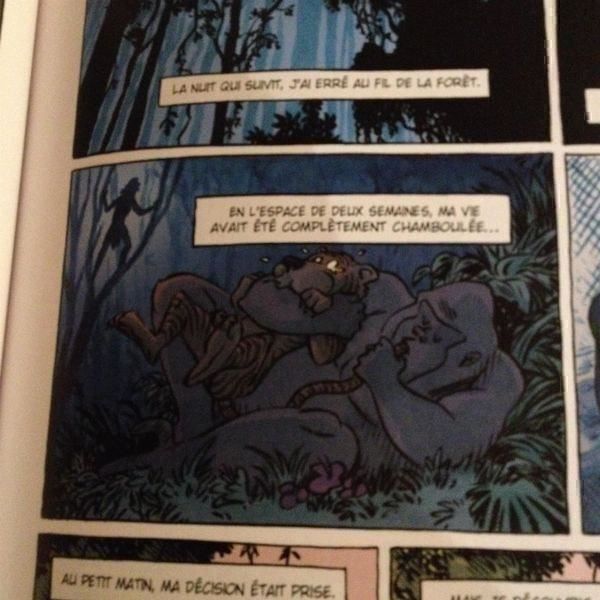 Fumetti: Johnny Jungle T1/2  EO – Usato da Farvagny-le-Grand venduto da LaCaverne 5