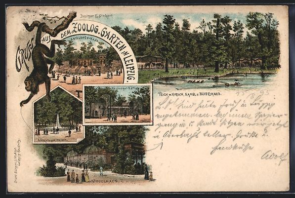 Cartoline postali: Vorläufer-Lithographie Leipzig, 1895, Z – Usato da Berlin venduto da bartko-reher