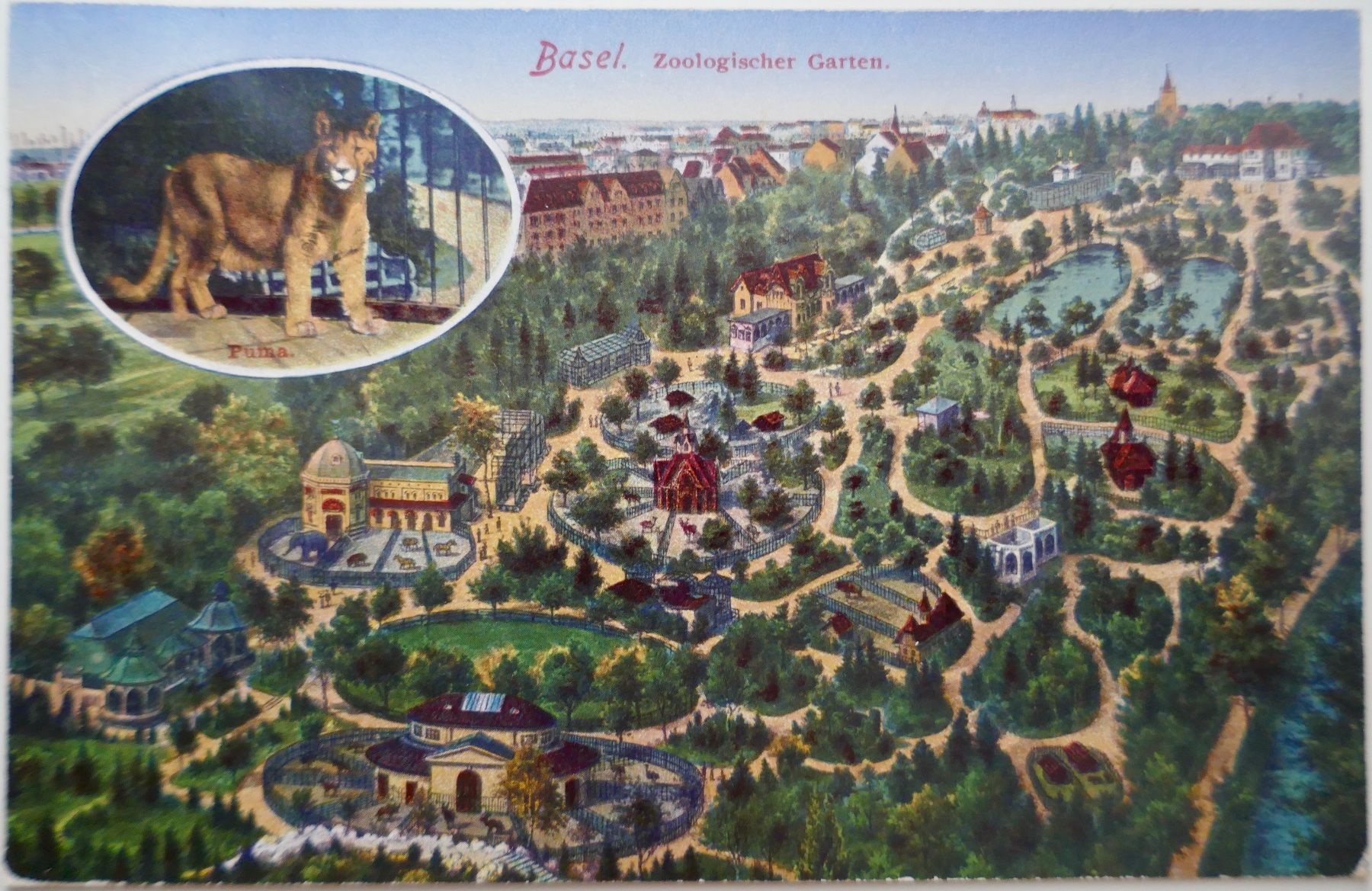 Cartoline postali: 1920 Bild-Postkarte Basler Zolli – Usato da Möhlin venduto da PHILABARTIS
