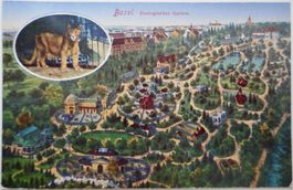 1920 Bild-Postkarte Basler Zolli