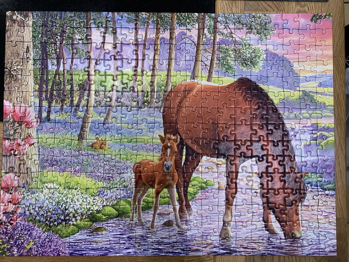 Ravensburger Puzzles: Ravensburger Puzzle Lot de 3 . – Neu (gemäss Beschreibung) aus Prilly von Sissi_1009 6