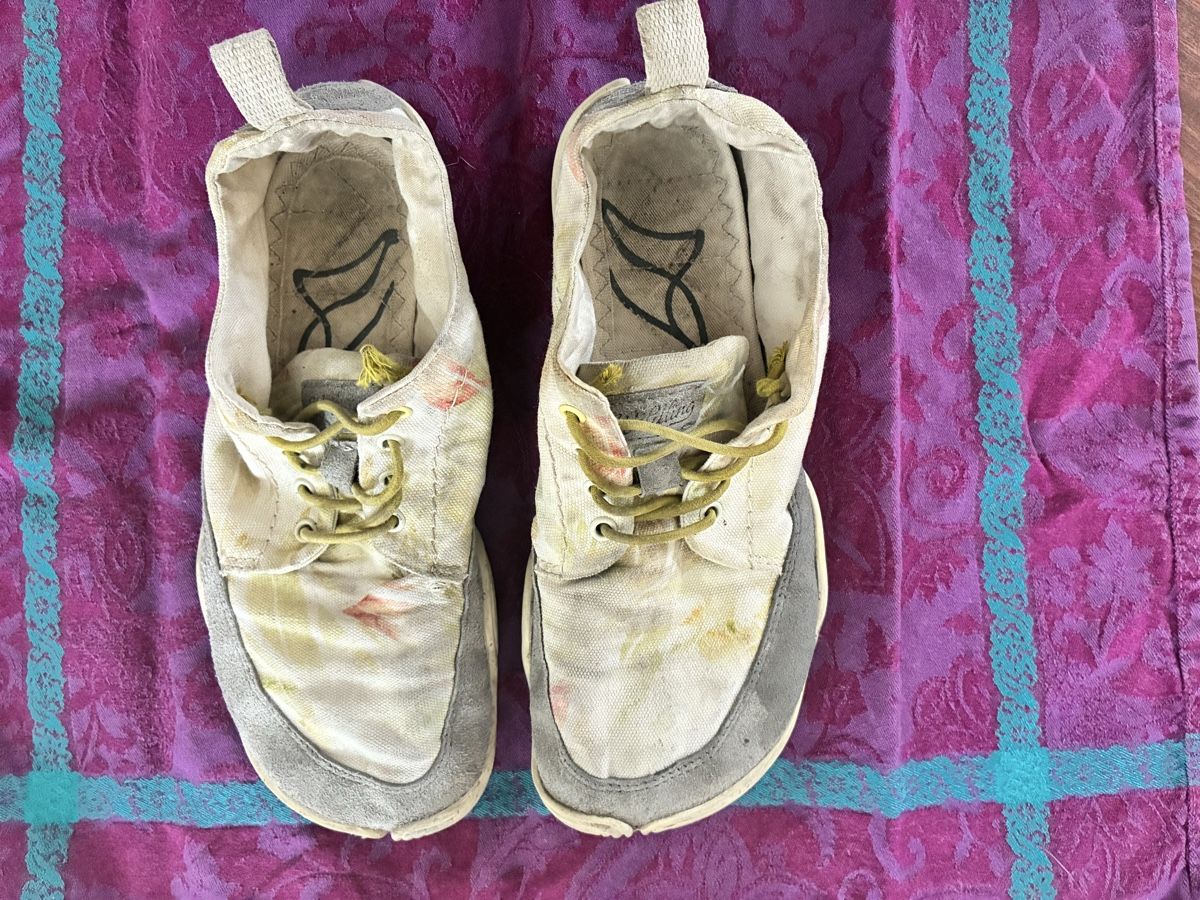 Wildling Schuhe für Jungen: Wildlinge 33 – Gebraucht aus Lausanne von Sarawg