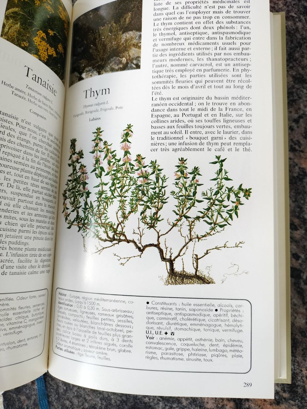 Libri: Secrets et vertus des plantes médicinales – Usato da Cortaillod venduto da rozinna 5