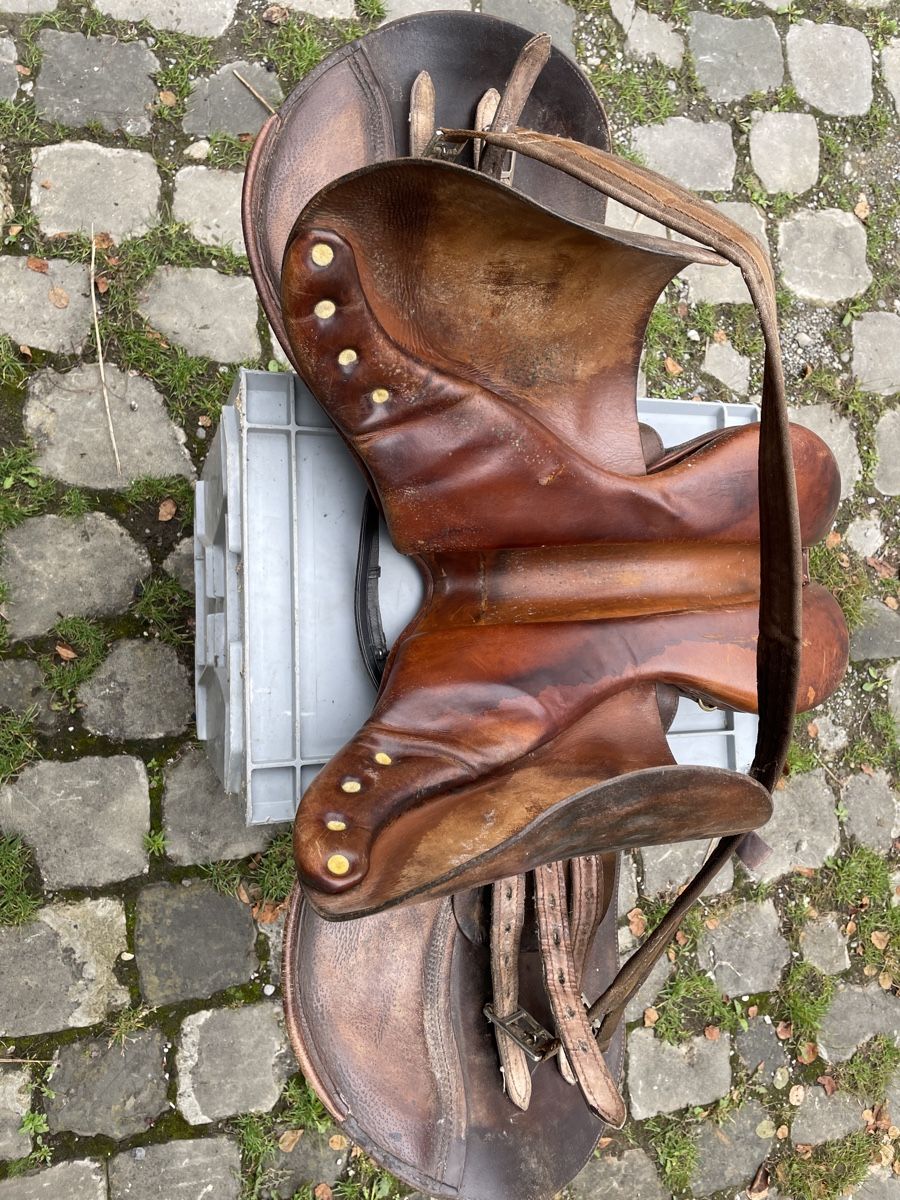 Selle & Accessori: Sattel Crosby gebraucht – Usato da Hauptwil venduto da c-pro 6