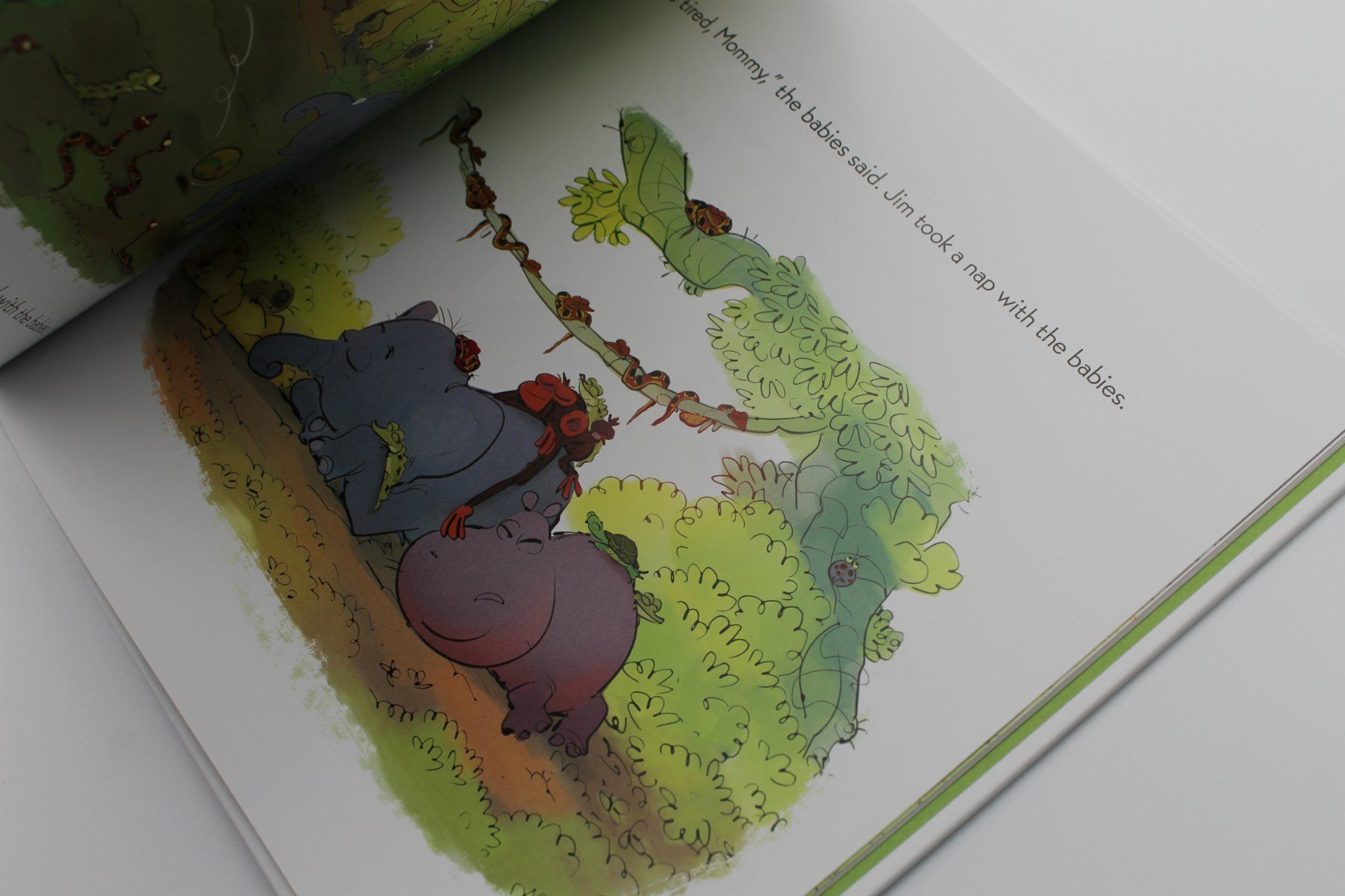 Bücher: Grumpy Monkey Mom for a Day Suzanne Lang – Gebraucht aus Lachen SZ von ratata 1