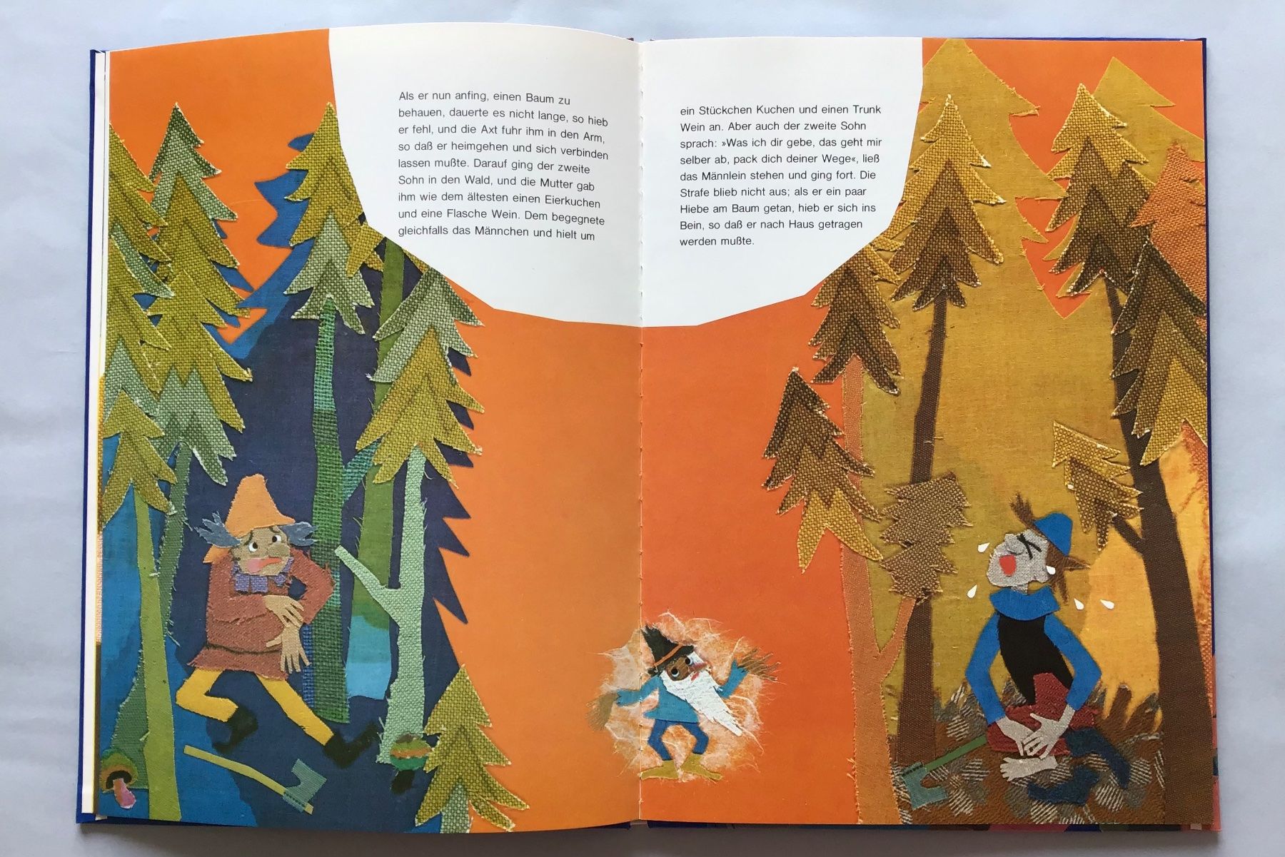 Libri: Bilderbuch: Die goldene Gans – Usato da Bubendorf venduto da Alpenheidi 5