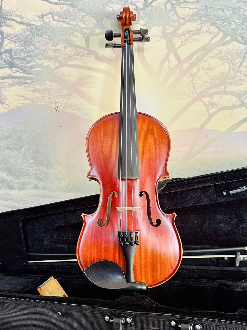 Instruments de musique: Viola 13 – Neu – Neuf avec emballage d'origine à Kirchberg SG par rex_pfd8 2