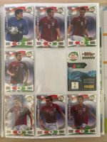 Panini Road to 2014 FIFA World Cup Brazil - Norge