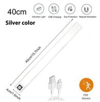 LED Lichtleiste (40cm) mit Bewegungssensor + Akku
