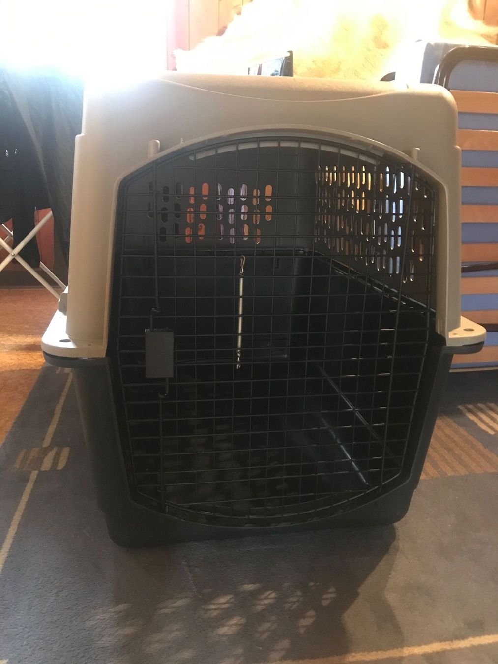 Gabbie, trasporto & Sicurezza: Hundebox, Tierbox, Flugbox, Transportbox, XL – Difettoso da Brienz BE venduto da MosMaz 1