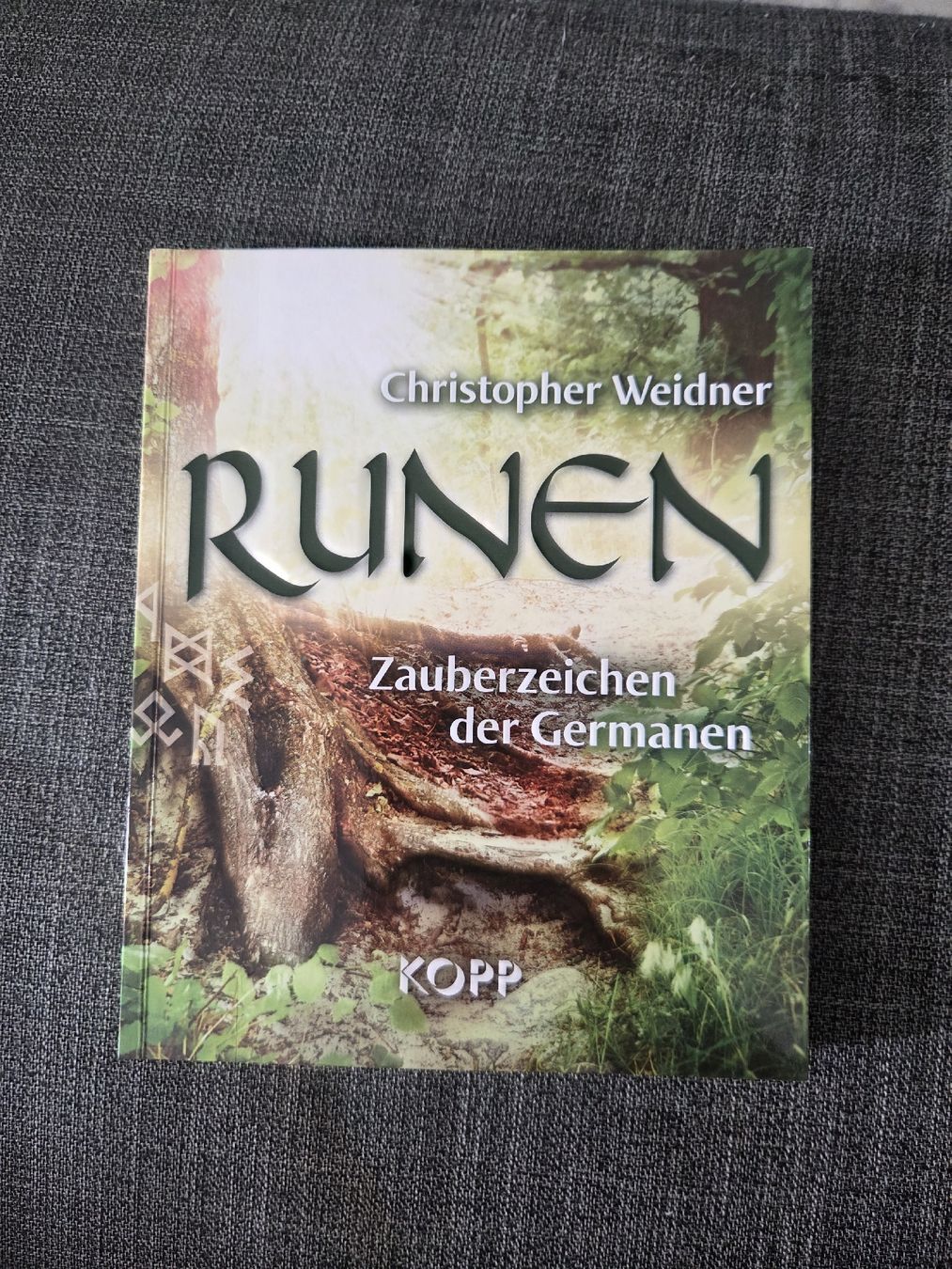 Libri: Runen - Zauberzeichen der Germanen – Usato da Lostorf venduto da _Venus_