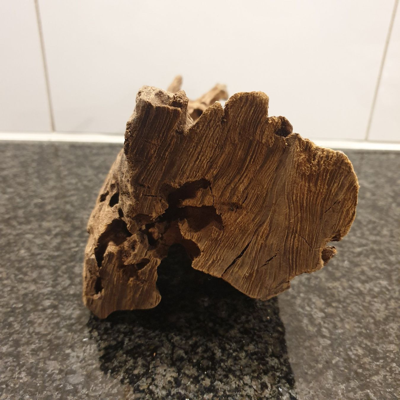 Articles en bois: Holzwurzel Aquarium- / Terrariendeko, 21x13cm, 819g – D'occasion à Neuendorf par DeSiriA 4
