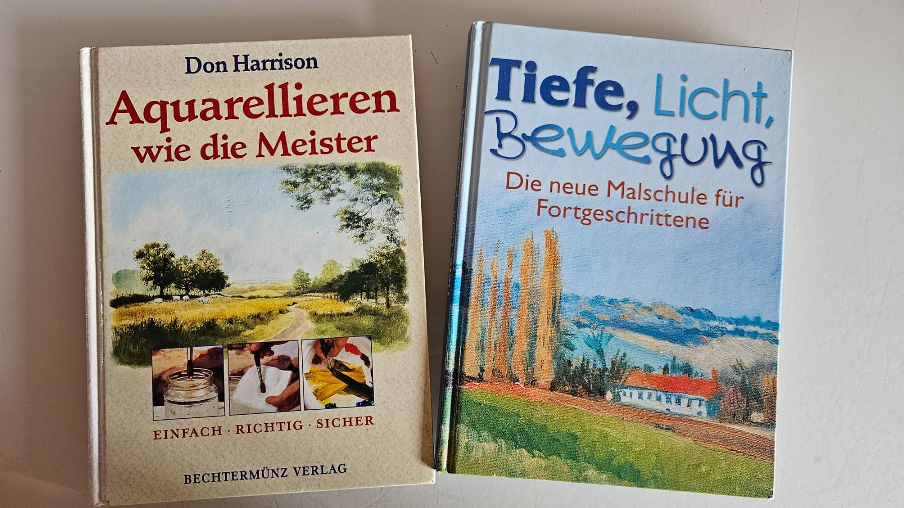 Libri: Bücher Aquarellieren – Usato da Basel venduto da True_Hofer_Store