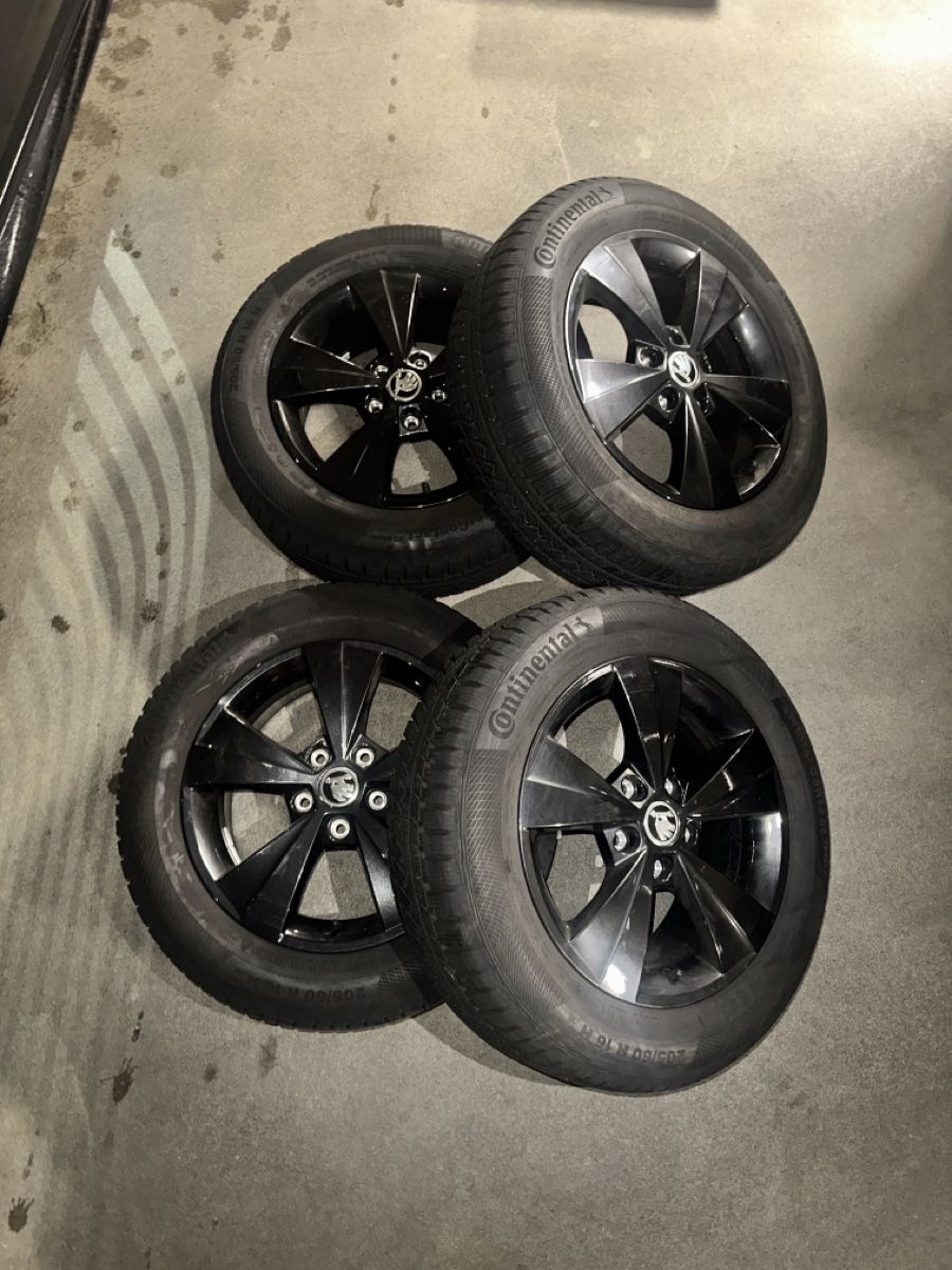 Skoda Pneumatici & Ruote complete: Kompletträder Winter Skoda – Nuovo (secondo la descrizione) da Schaffhausen venduto da F06M