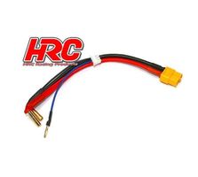 Câble Charge & Drive - Prise Gold 4mm prise XT60 & Balancer