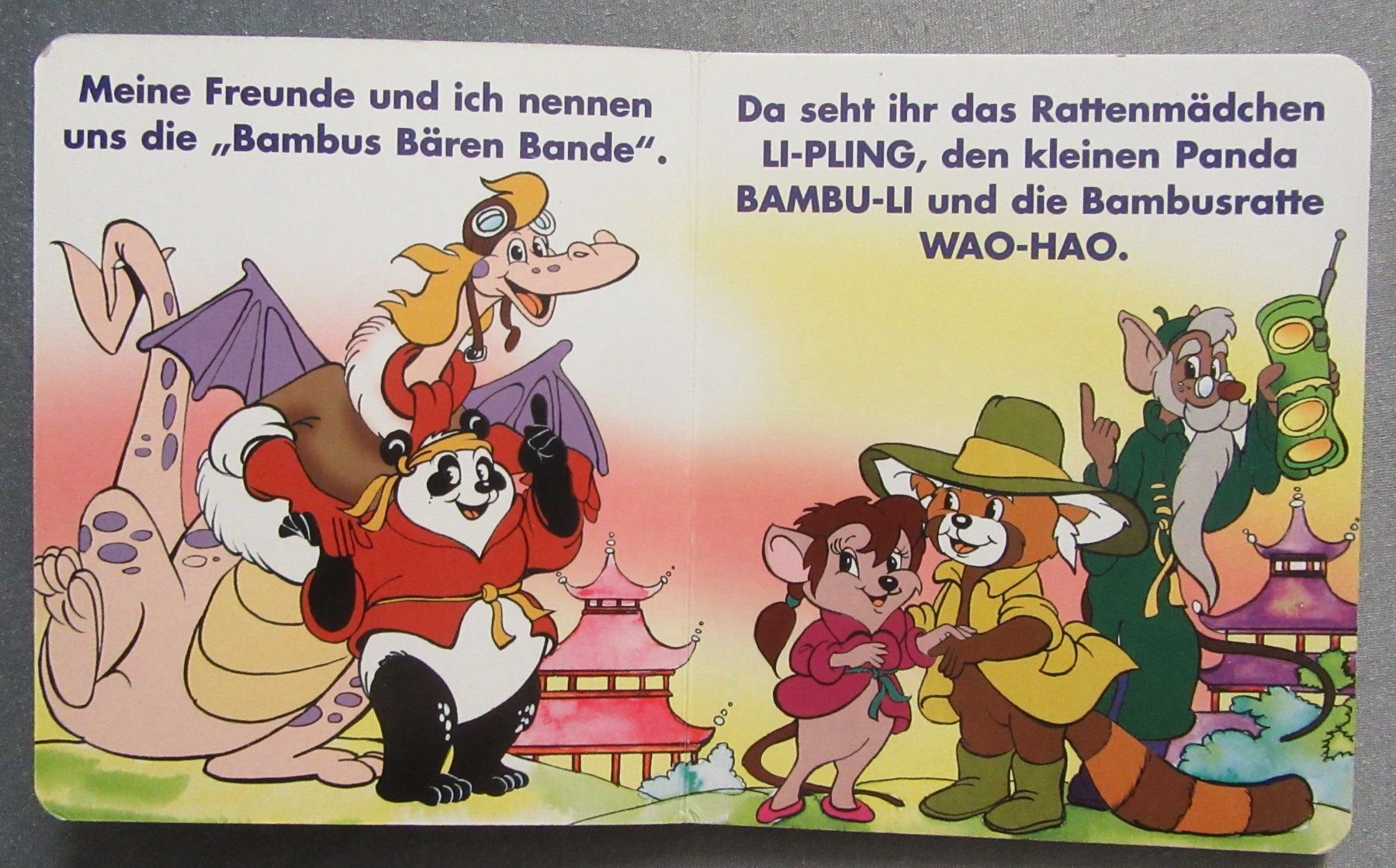 Bücher: Ich bin der grosse Panda - Bilderbuch - kartonierte Seiten – Gebraucht aus Auenstein von Padabimbim 2