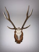 Hirsch-Kapitol, 6-Ender, 1998–Neukirch, Naturholzscheibe