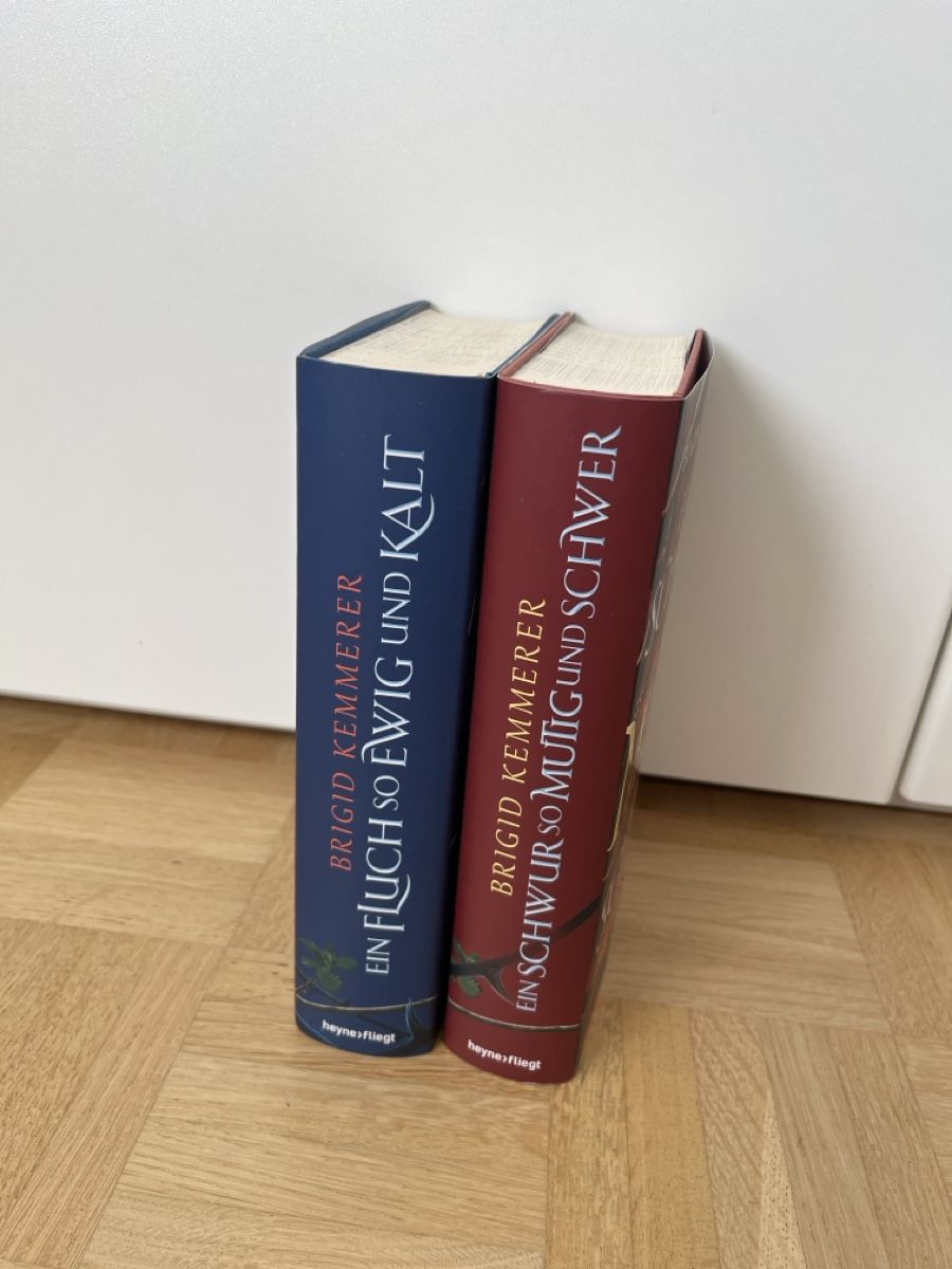 Libri: Brigid Kemmerer Romane 2 Stk. guter Zustand – Usato da Zürich venduto da Kleanthy 3