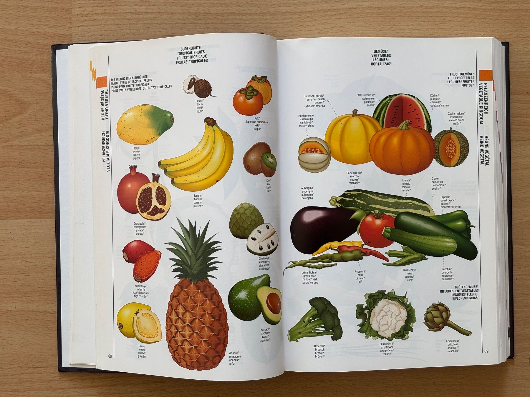 Libri: Das grosse Reader's Digest Bilderlexikon – Usato da Zürich venduto da Masaiti 6