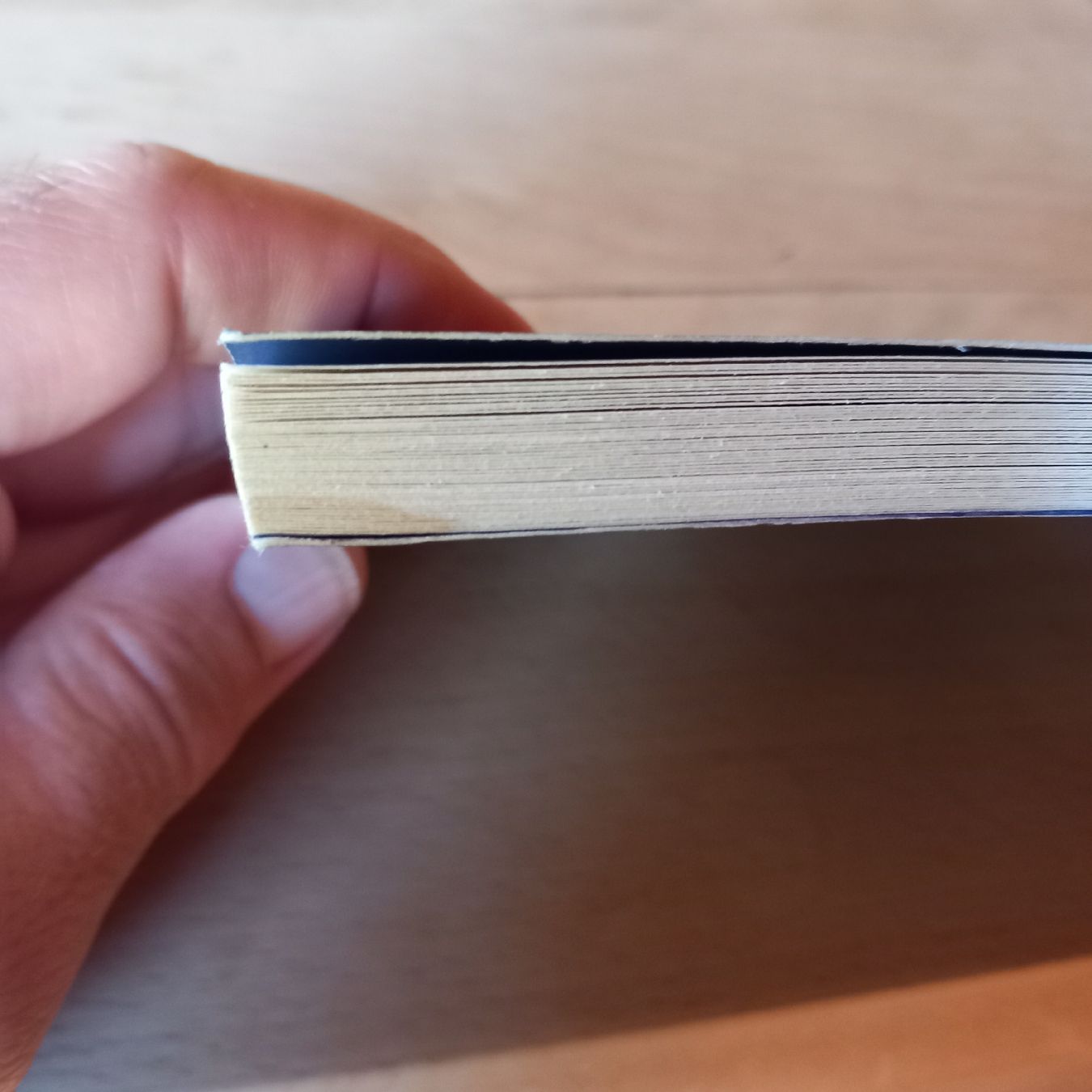 Livres: THICH NHAT HANH Meditationen Buch  – D'occasion à Ebnat-Kappel par blazzi 3