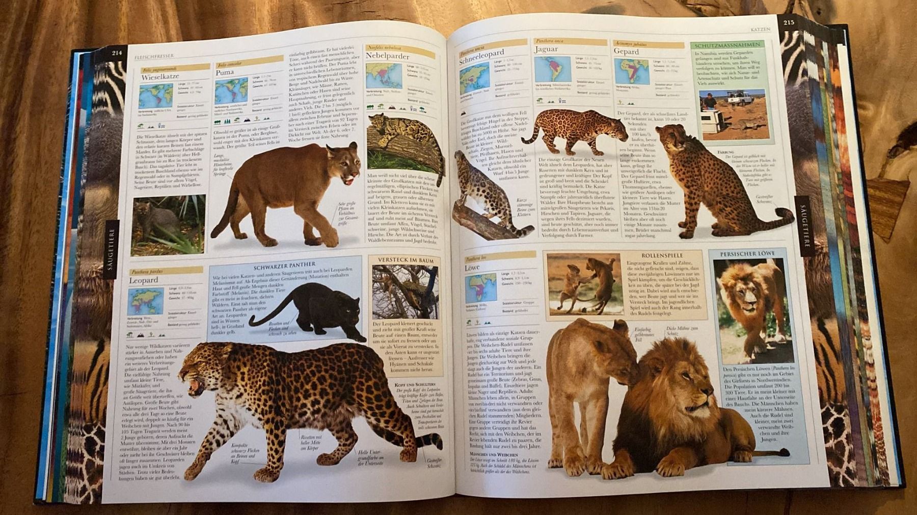 Livres: Tiere Lexikon – D'occasion à Dagmersellen par Arcticsnow2017 2