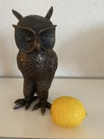 Grosse Schleiereule in Vollbronze