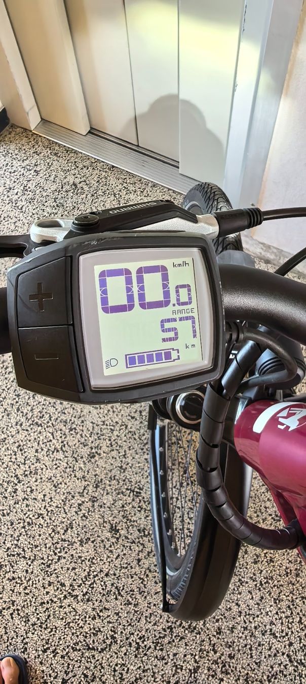 Cresta Velos: E-Bike ,Cresta E-Giro Neo - 2020 ,Bosch – Gebraucht aus Bern von habin123 9