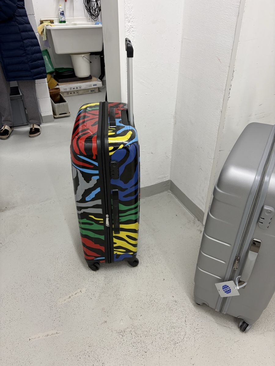 Valigie: Reisekoffer – Usato da Siglistorf venduto da chrugi61 1
