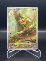 Chespin (CRI 087) - Illustration Rare