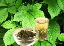JIOAGULAN (plante sacrée) 15g