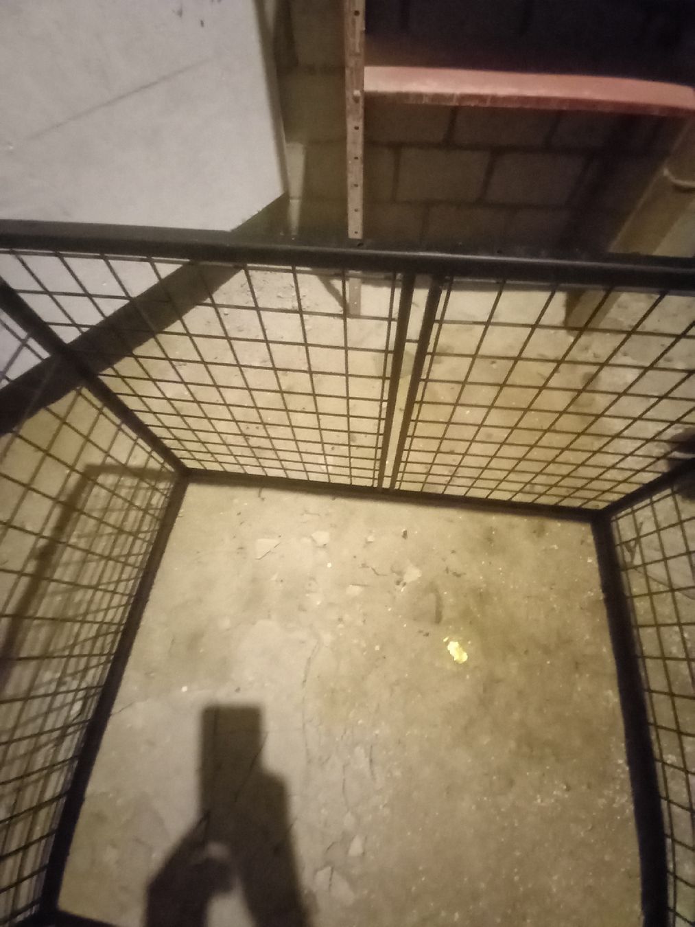 Gabbie, trasporto & Sicurezza: Robuste Hundebox aus Metall – Usato da Heerbrugg venduto da Domino_1645 2