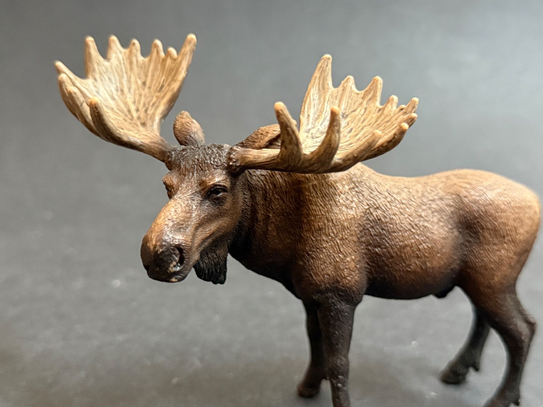 Schleich Statuette: Schleich Elch Bulle – Usato da Ennetbaden venduto da mapa05 3