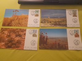 4 enveloppes Aloe d'Afrique du Sud, 1981, oblitérées