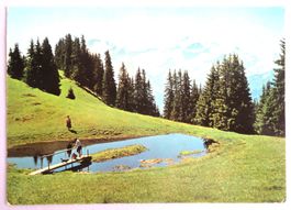 Höhi Wispile (1910 m) bei Gstaad