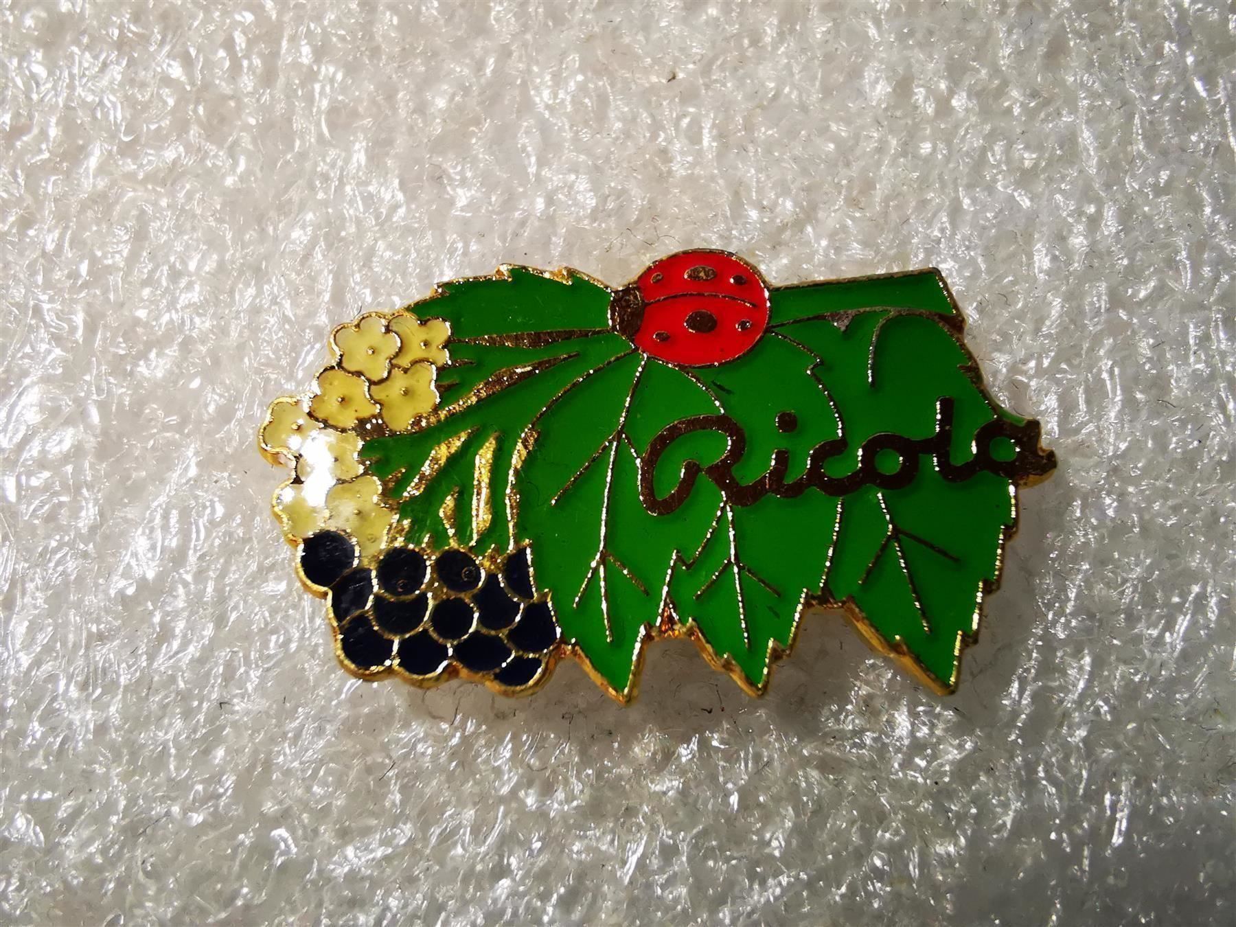 Broschen & Nadeln: Ansteckpin 75: Ricola – Gebraucht aus Oppligen von Pin-Fall-Shop