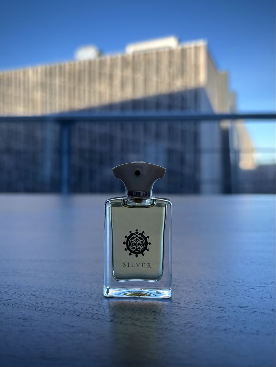 Amouage Profumi & Eau de Toilette: Amouage Silver Man – Usato da Bern venduto da joelg90