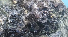 Mineralien: Diopsid, Magnetit und Klinochlor. Rimpfischwäng