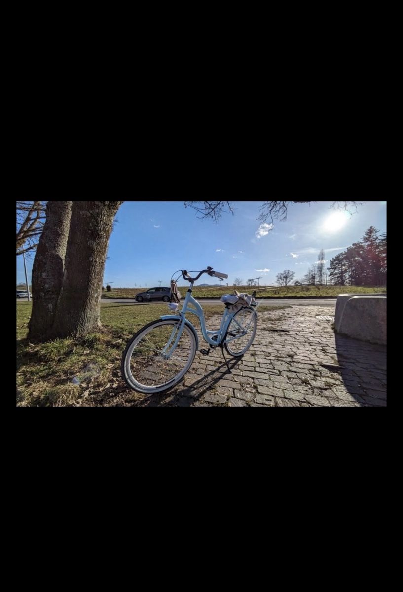 Biciclette: Citybike Damen – Usato da Fislisbach venduto da nat_c2dy 1