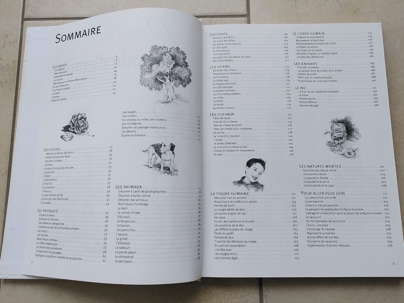 Libri: DESSINER MODE D`EMPLOI – Usato da Brugg AG venduto da olamim 2