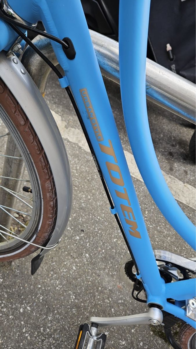Totem Biciclette: Ebike Totem 25km/h – Usato da Genève venduto da Goupiole 1