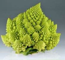 Brokkoli ROMANESCO (Broccoli-Blumenkohl) 10 Samen