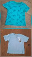 2x T-Shirt Gr. 110 u. 110/116 (1x Dino)