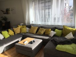 IKEA Kissen (div. Grössen, mit und ohne Bezüge)