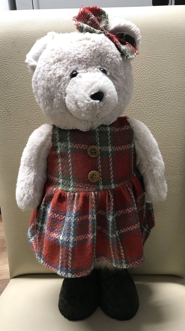 Giocattoli: Plüschtier Stofftier Teddybär – Usato da Altstätten SG venduto da Nik2009 2